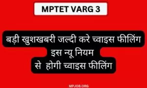 mptet varg 3 teacher choice filling